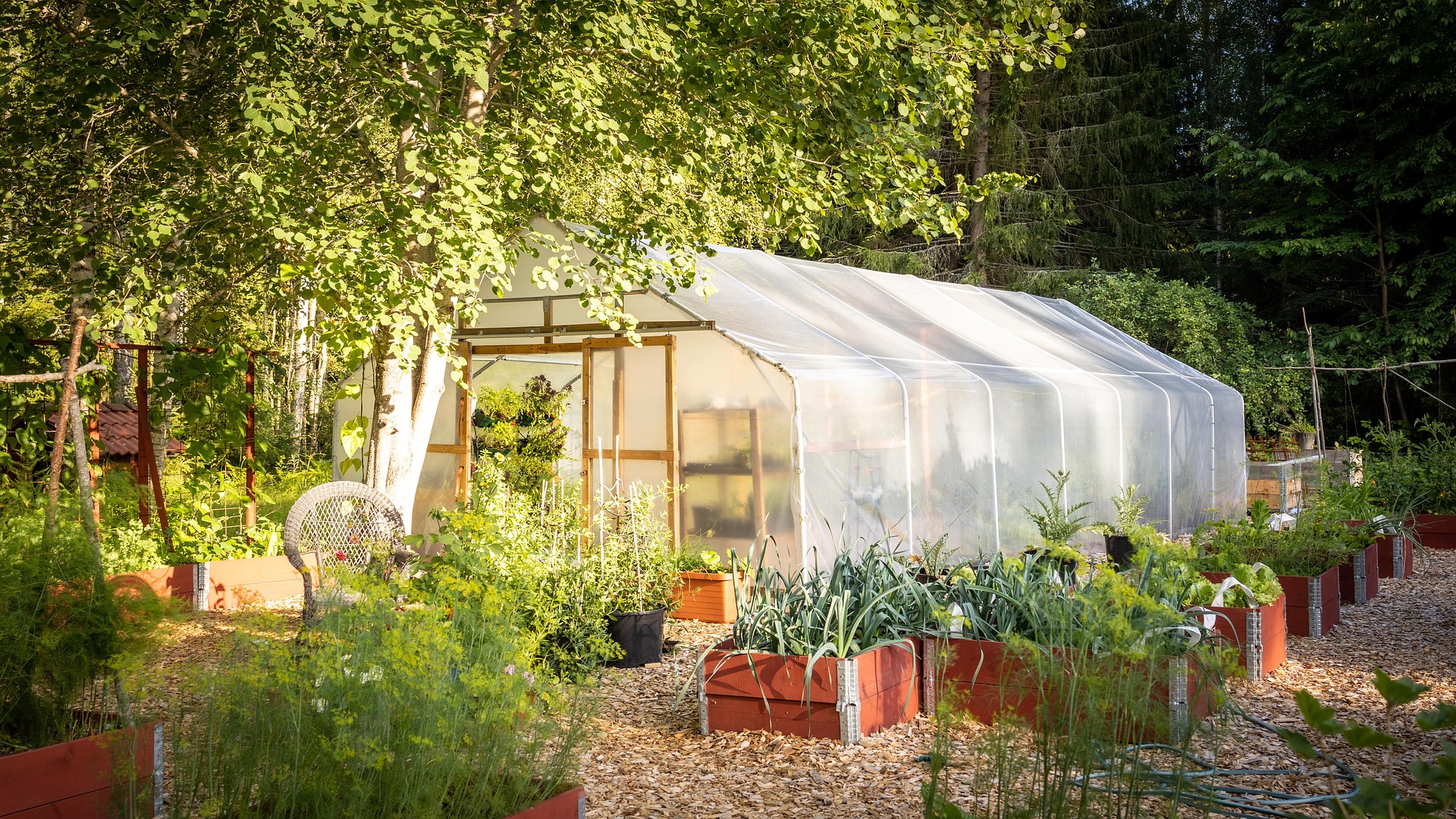 The farm at Loving Creek